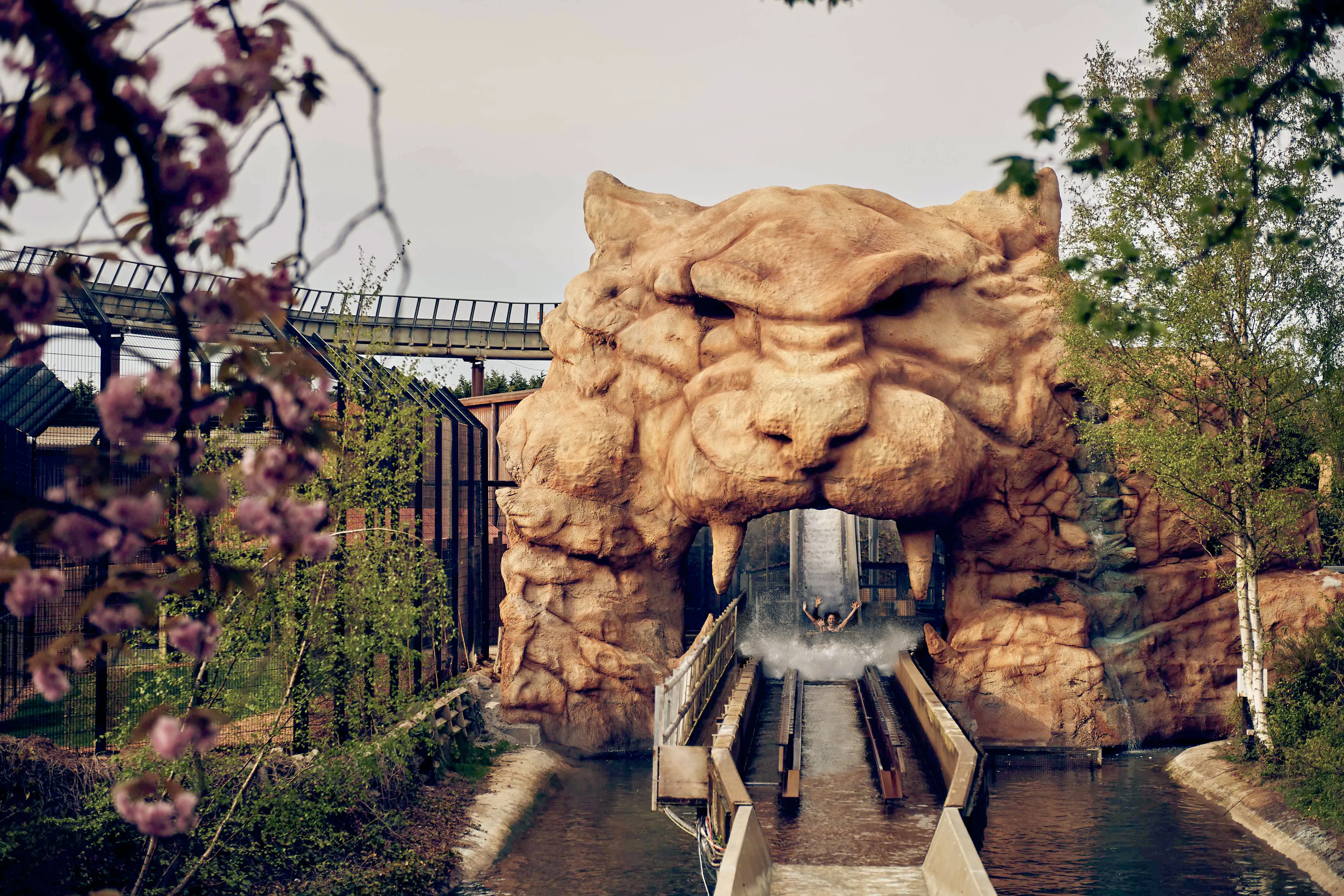 Tiger Rock log flume at Chessington World of Adventures