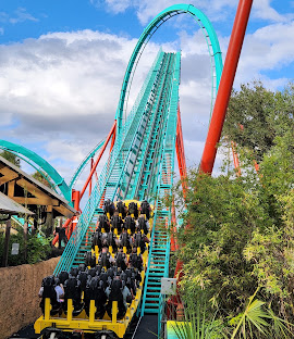 Kumba roller coaster at Busch Gardens Tampa Bay