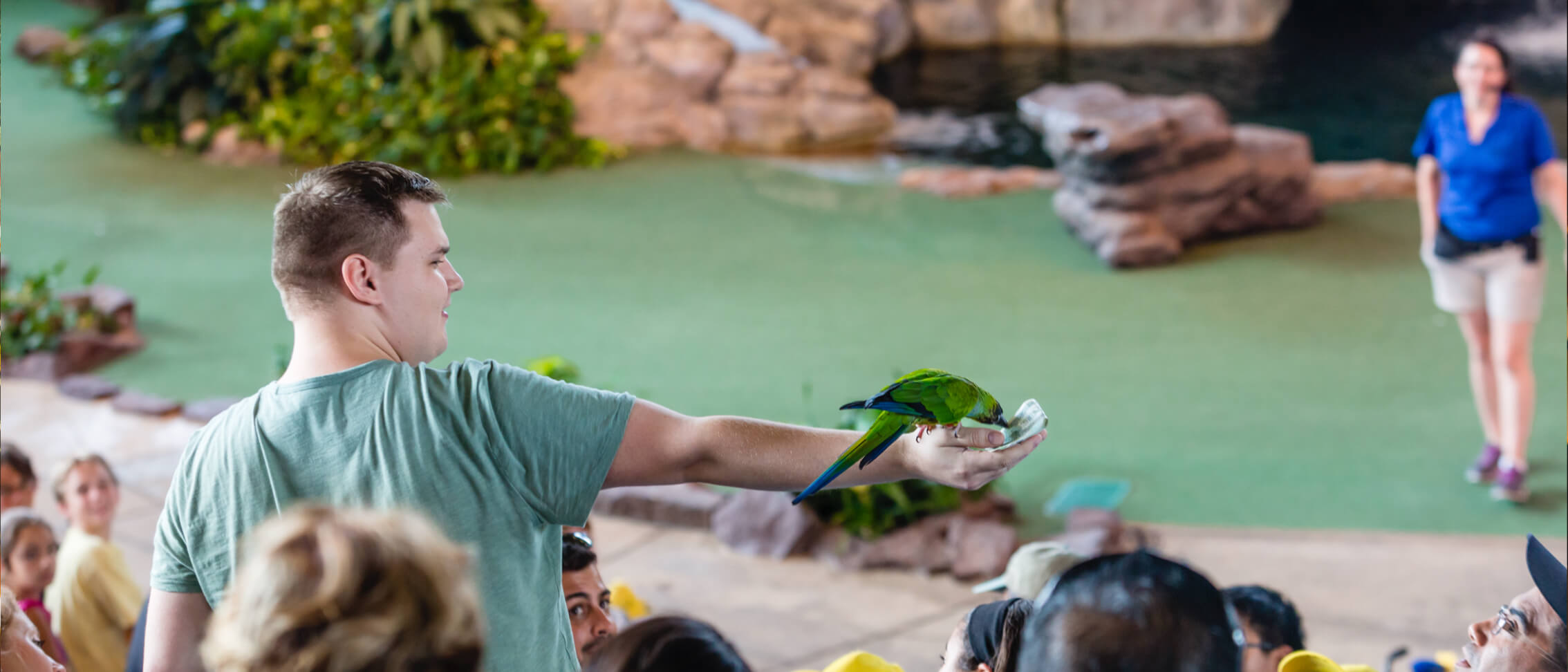 Universal Orlando’s Animal Actors On Location! to Close After 36 Years